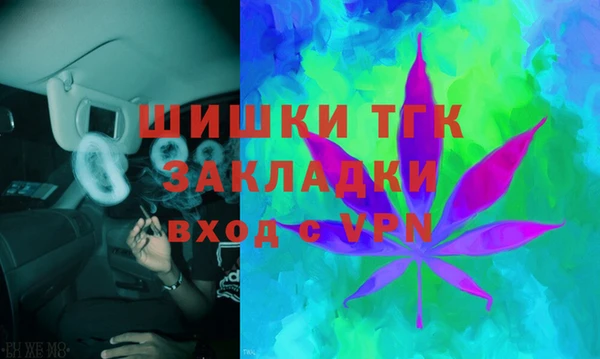 гидра Гусев
