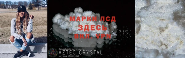 гидра Гусев