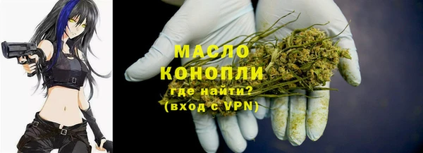 гидра Гусев