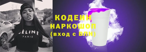 гидра Гусев
