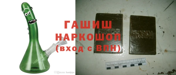 гидра Гусев
