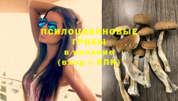гидра Гусев