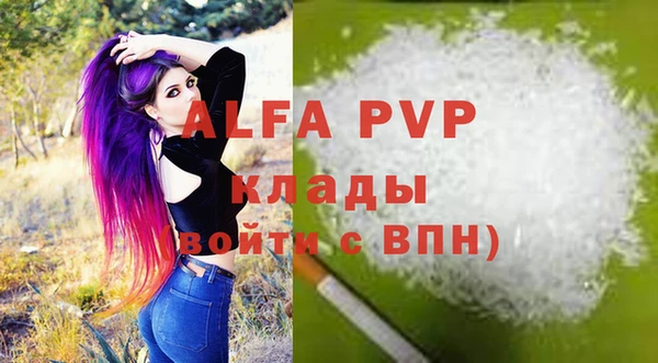гидра Гусев