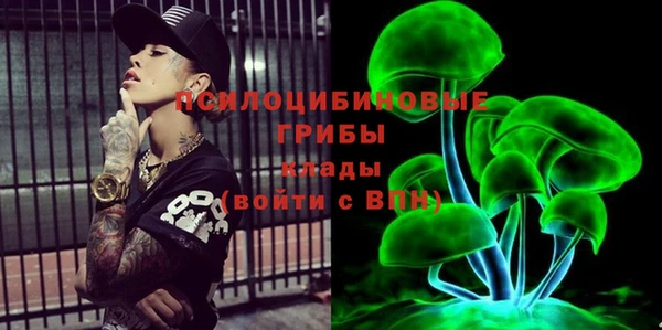 гидра Гусев