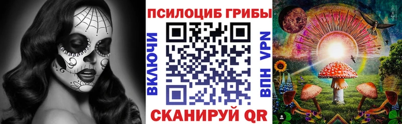 Псилоцибиновые грибы Psilocybe  Курск 